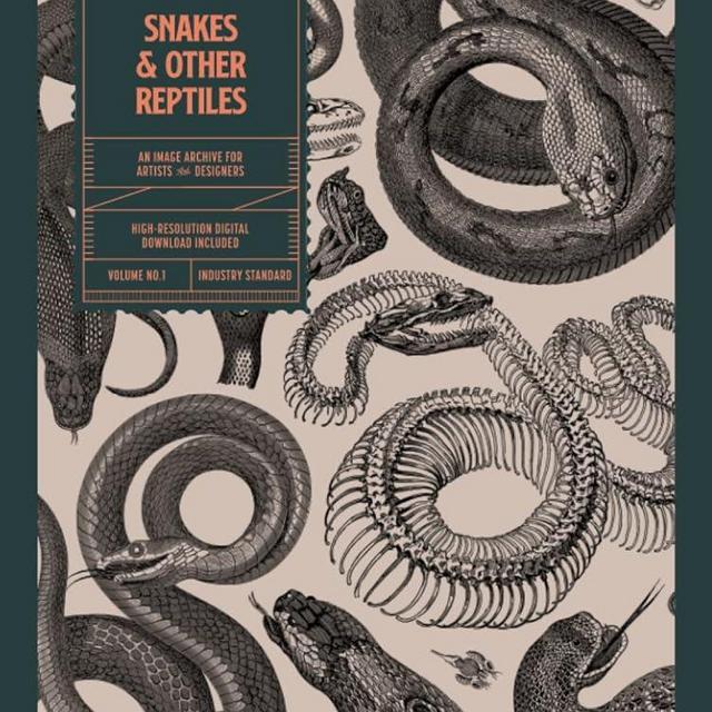 Snakes and Other Reptiles: An Image Archive for Artists and Designers