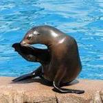 Milwaukee County Zoo