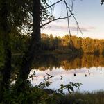 Bona Dea Trails & Sanctuary