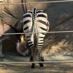 San Diego Zoo