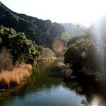 Malibu Creek