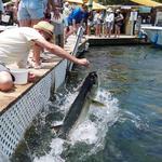 Robbie's of Islamorada