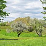 Maudslay State Park