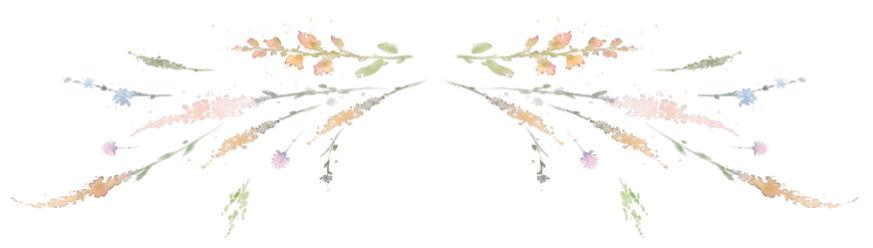 The Wedding Website of Stacey de Molitor and Johnny Mullally