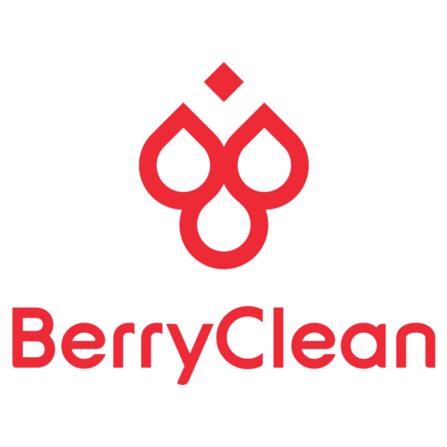 Apartment Deep Clean from BerryClean