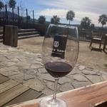 Monte Xanic Bodega Vinícola