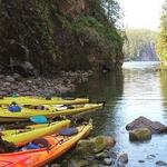 Miller's Landing