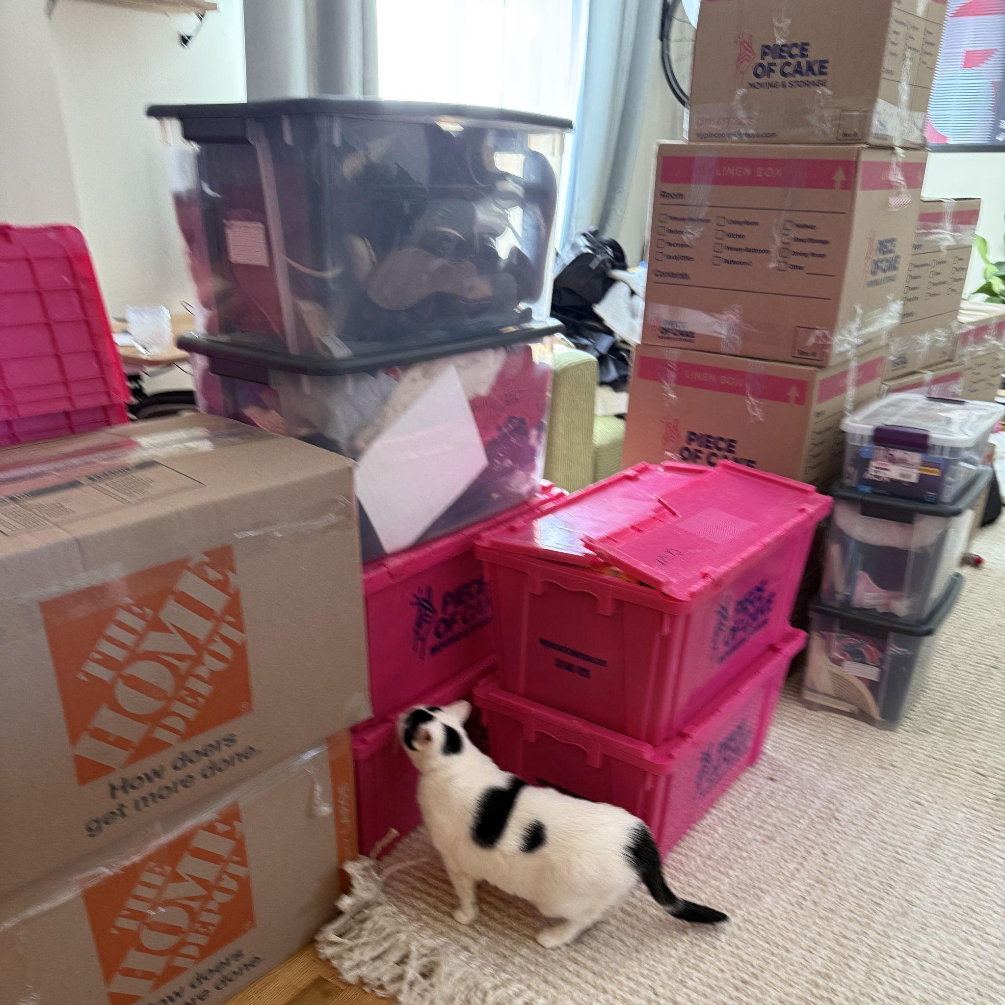 Bruce & Lauren moving into Nick's Hoboken Apartment January 2025