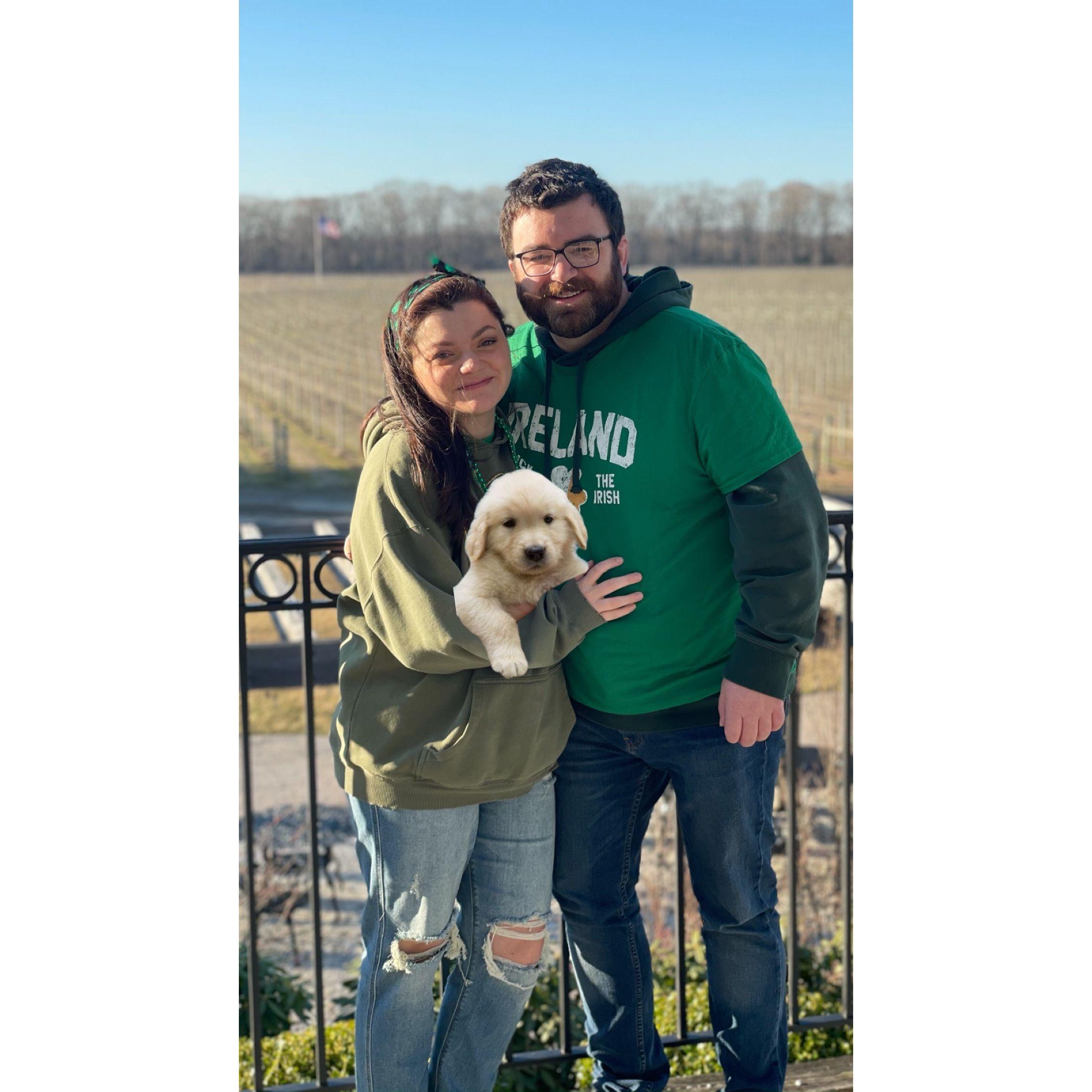 Please get Bethany a dog