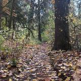 Leach Botanical Garden