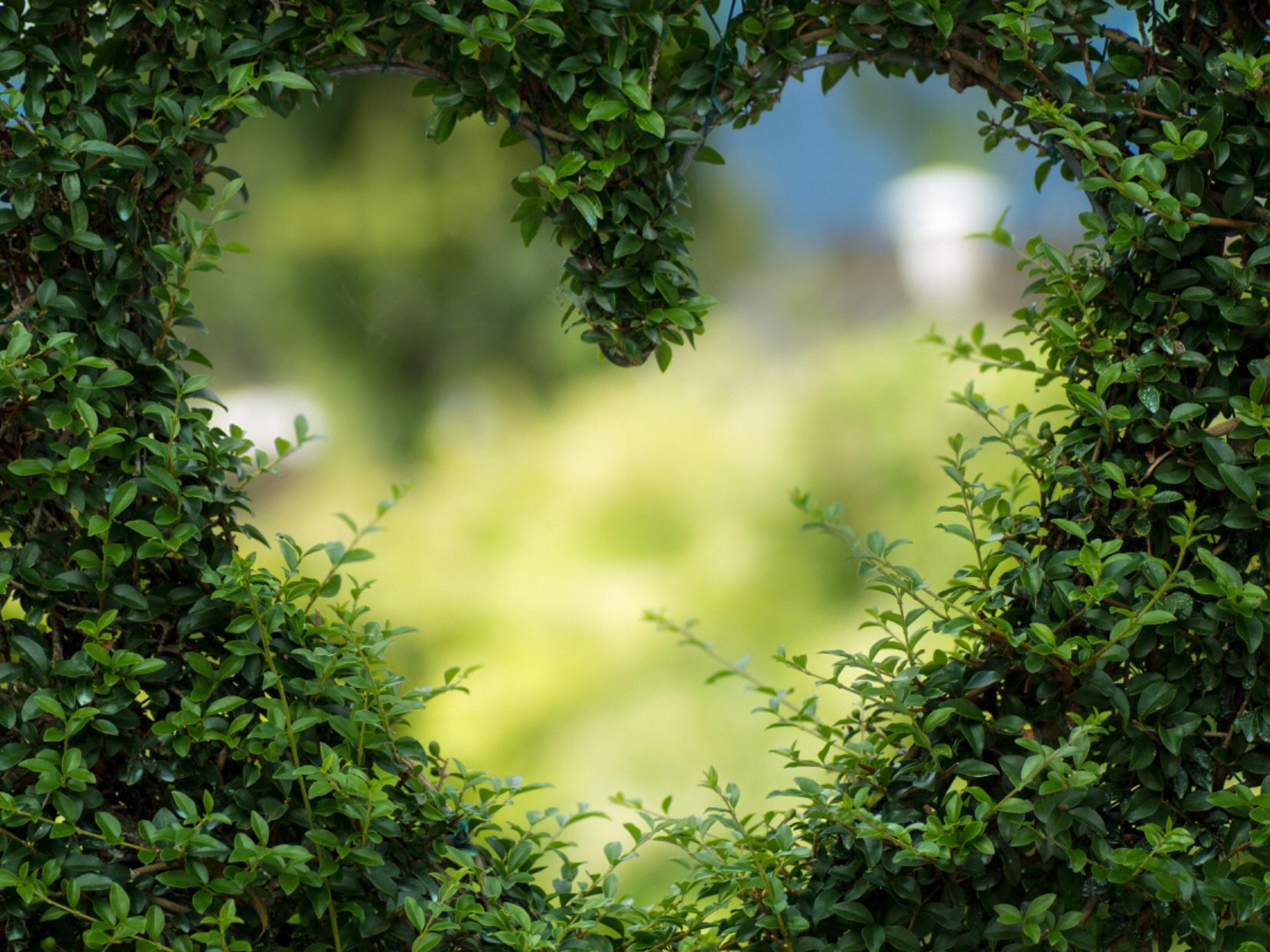 The Wedding Website of Suzanna Hammond and Daniel Roemer