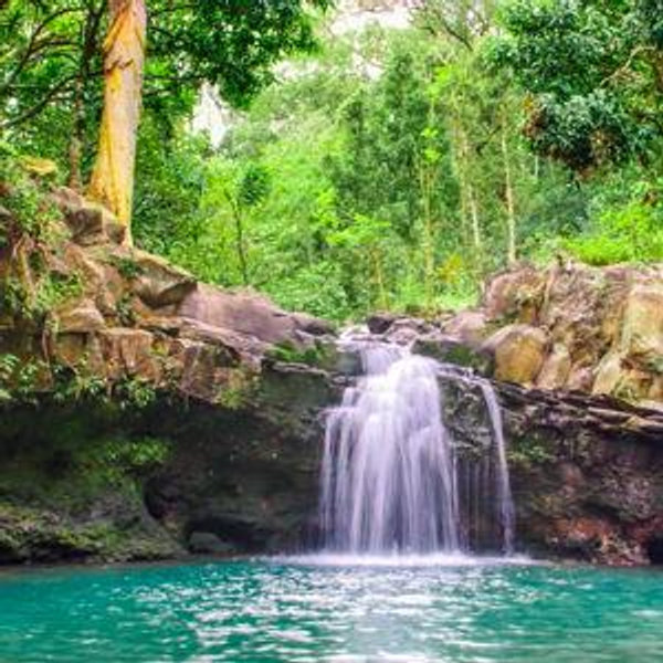 Waterfall and rainforest hike in South Maui