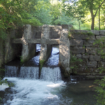 Charlie Major Nature Trail