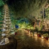 Tucson Botanical Gardens