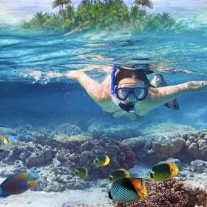 Snorkeling