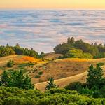 Mount Tamalpais, West Peak