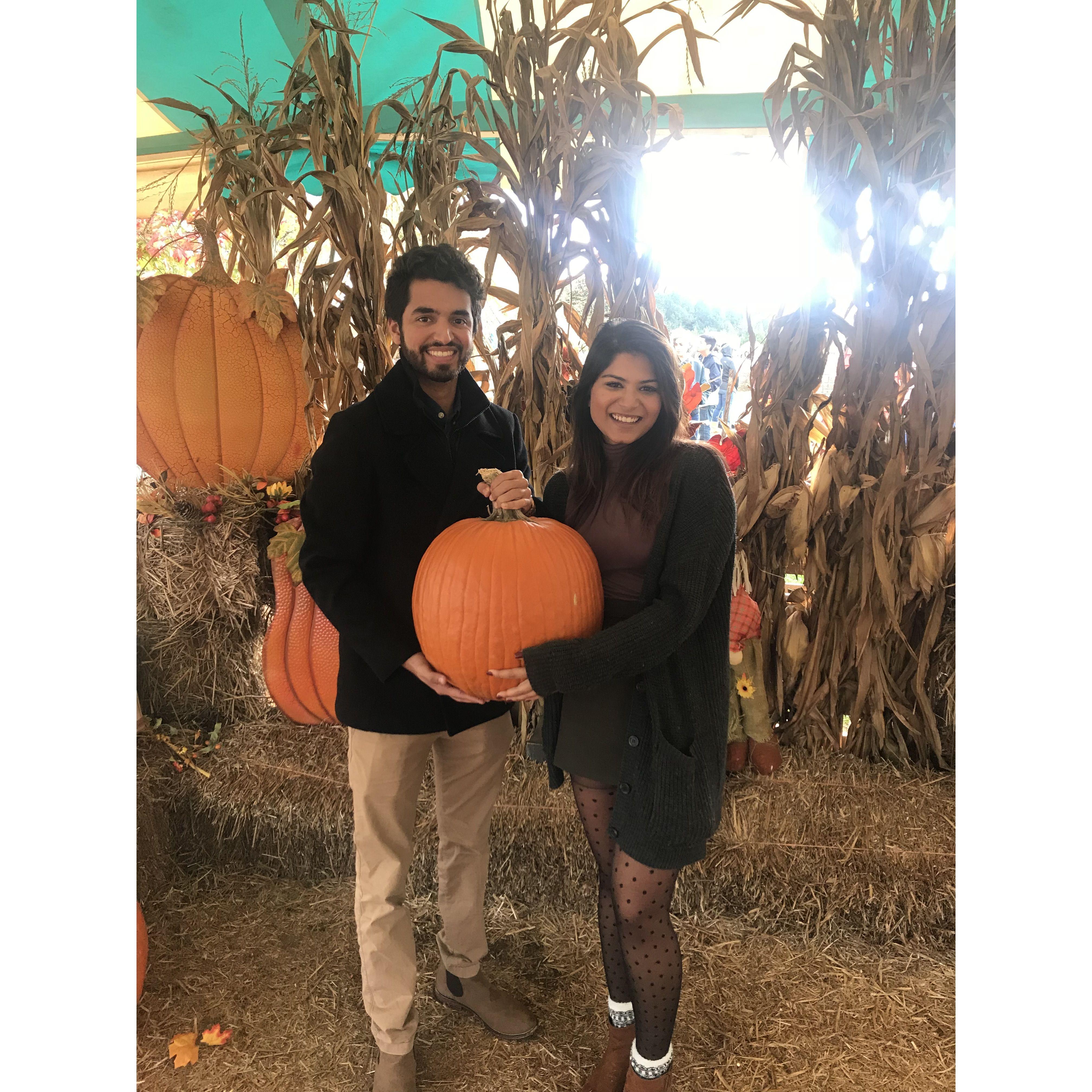 Pumpkin Patch Date
October, 2018