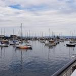 Old Fisherman's Wharf