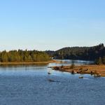 Nestucca Bay National Wildlife Refuge