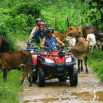 Half Day ATV & Cultural Tour