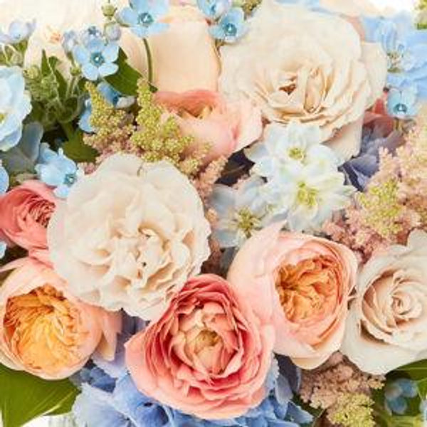 Newlywed Fund