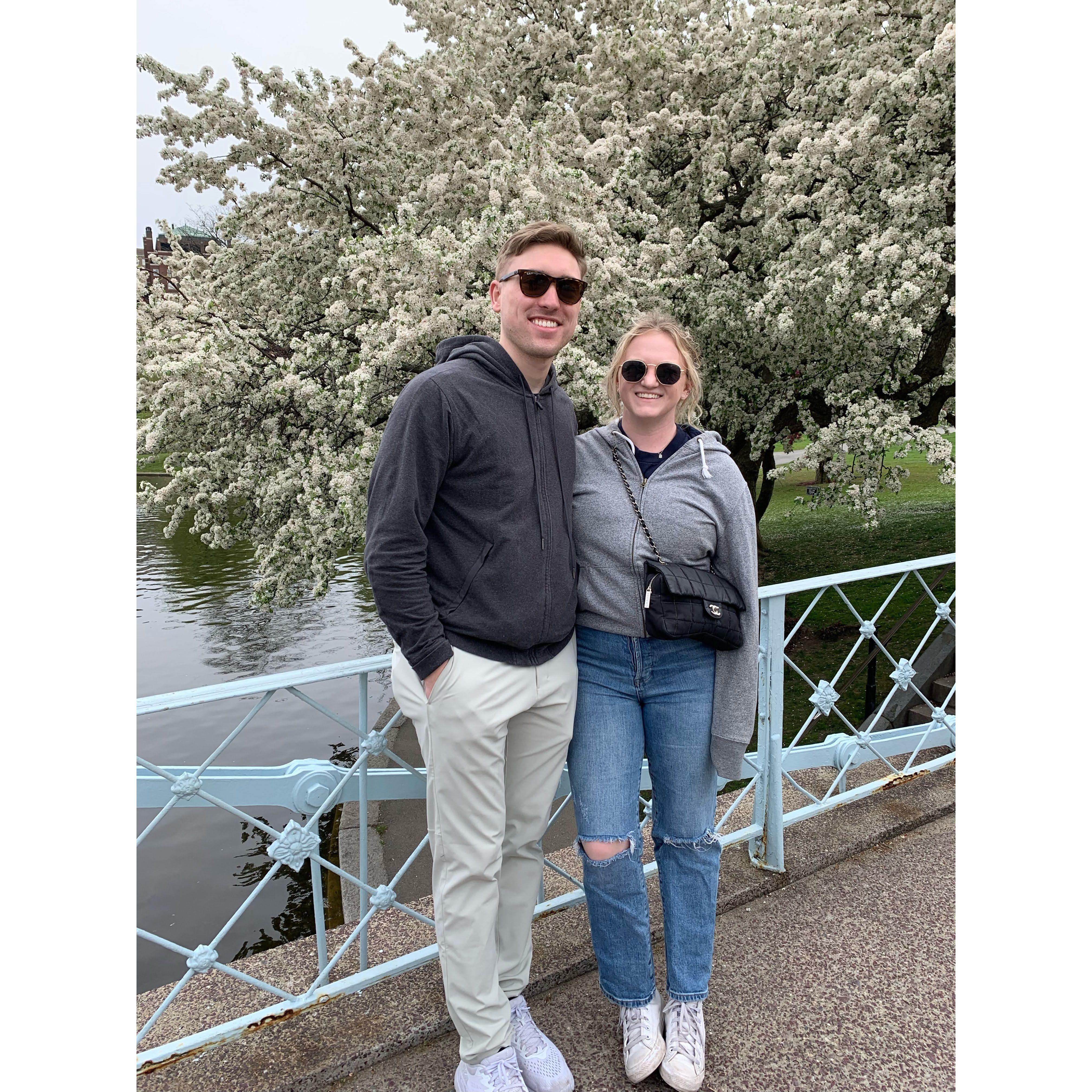 Floral spring in Boston Common