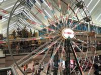 SCHEELS