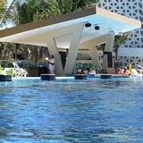 Swim Up Bar