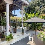 Saúl Bistro Antigua