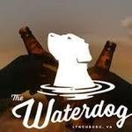 The Water Dog