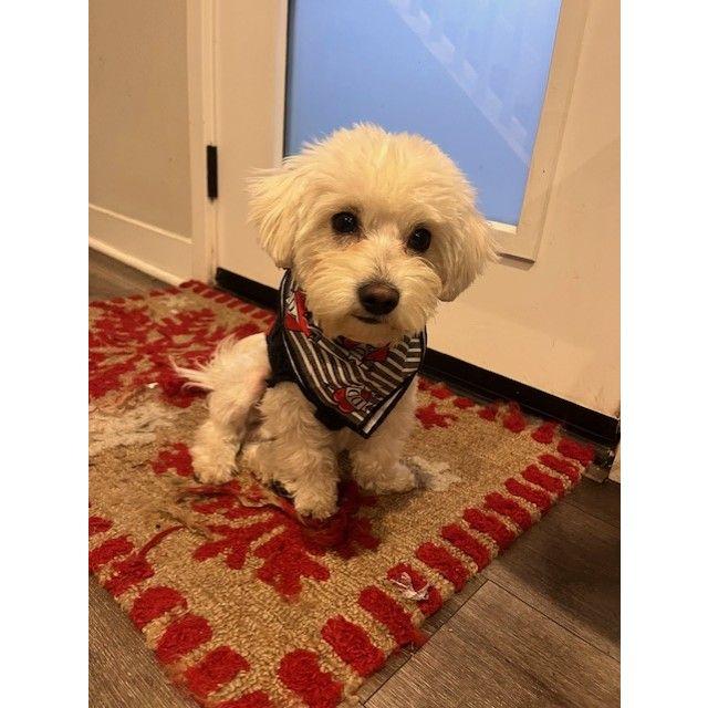 Jack - our newest addition