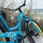 Bamboo Bicycle Company