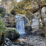 Looking Glass Falls
