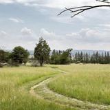 Hiking Trails