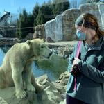 Louisville Zoo