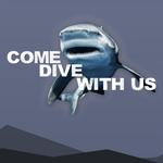 Florida Shark Diving