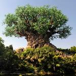 Animal Kingdom
