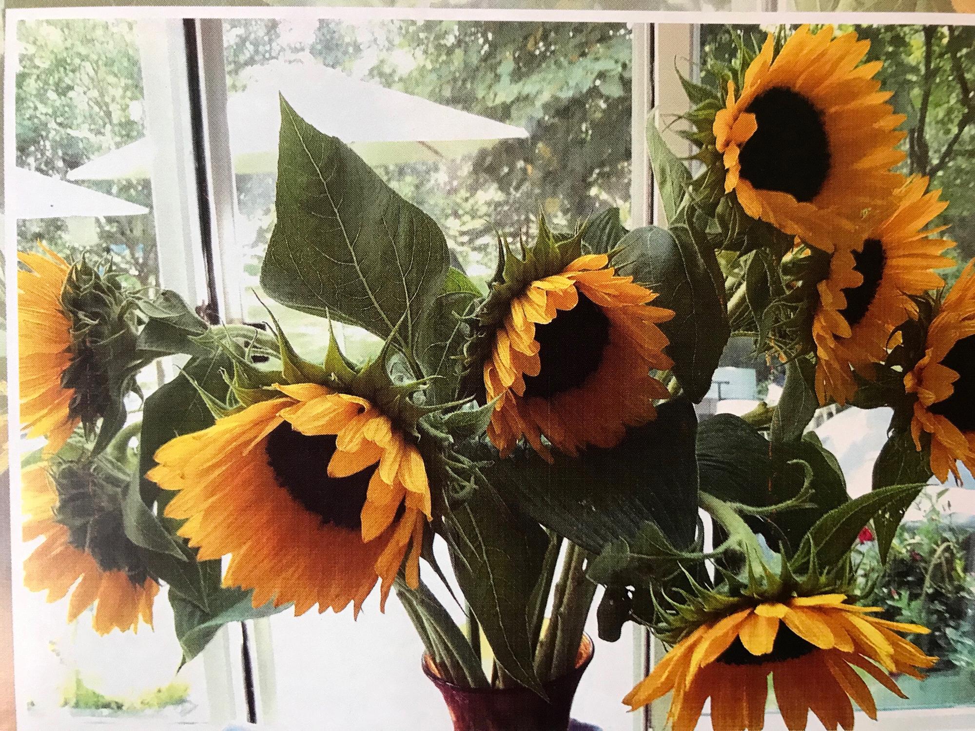 Flowers from David when we reconnected in 2012