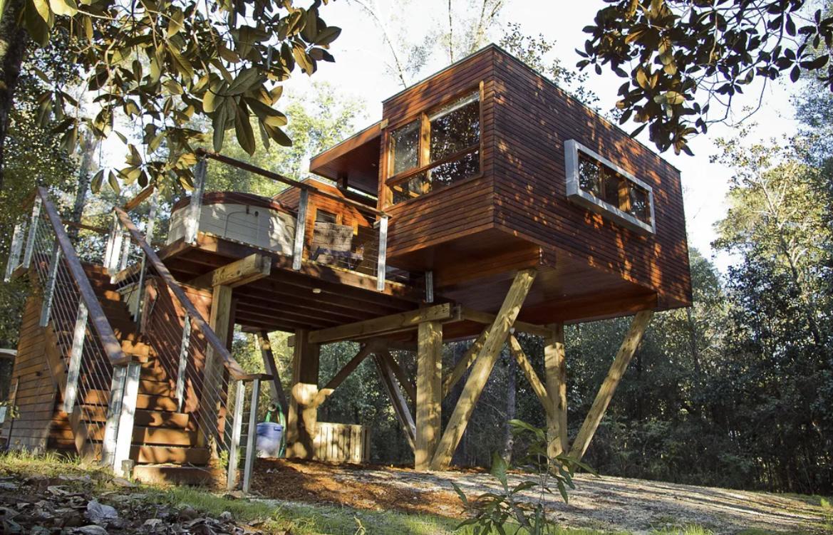 The Treehouse