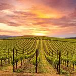 Amador County