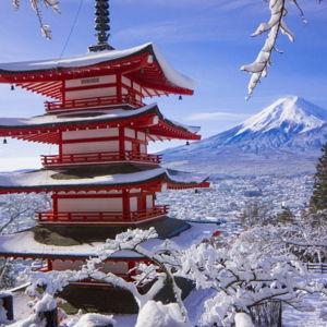 Japan Honeymoon Fund