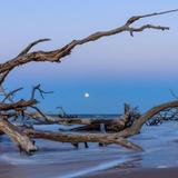 Boneyard Beach