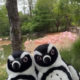 Memphis Zoo
