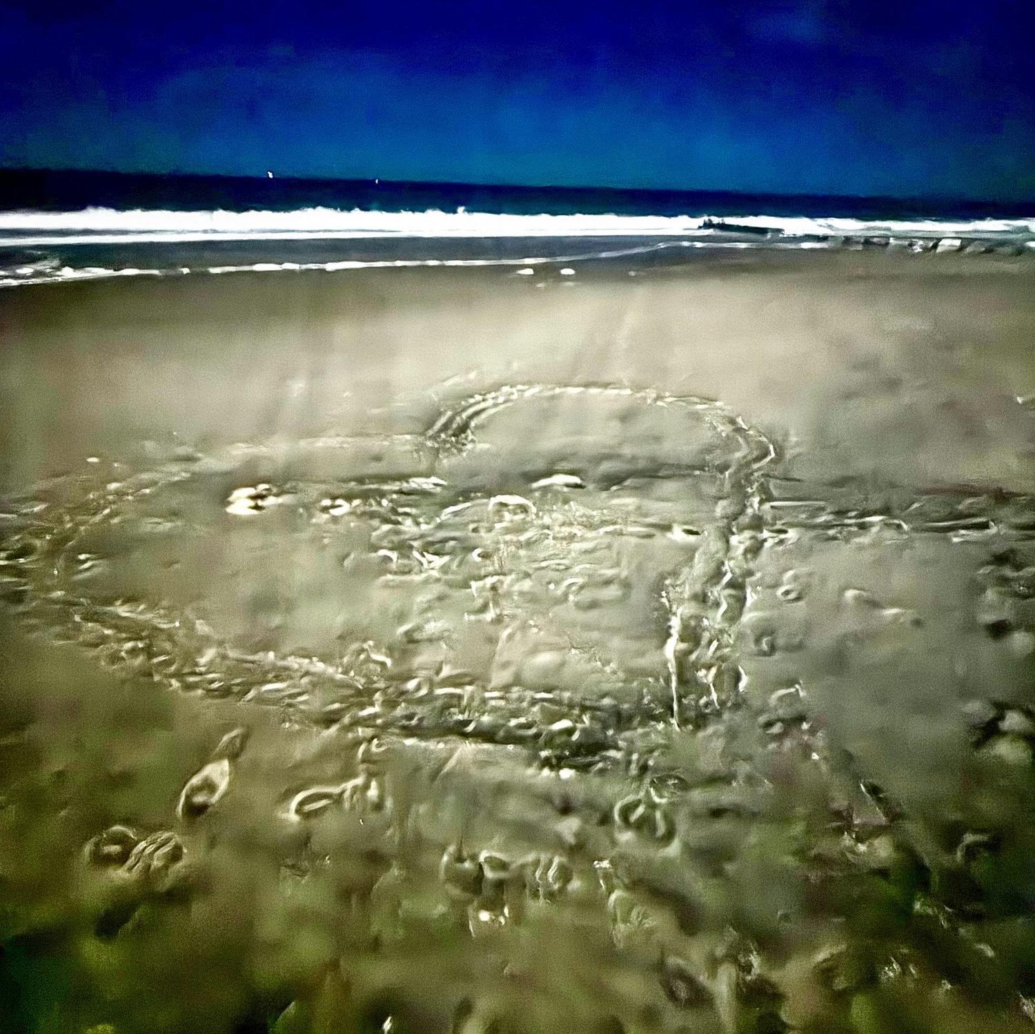Where he asked "Will You Marry ME?"