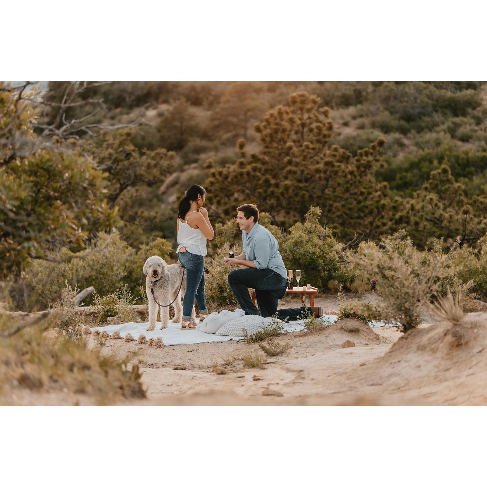 Alex proposed (June 2021)