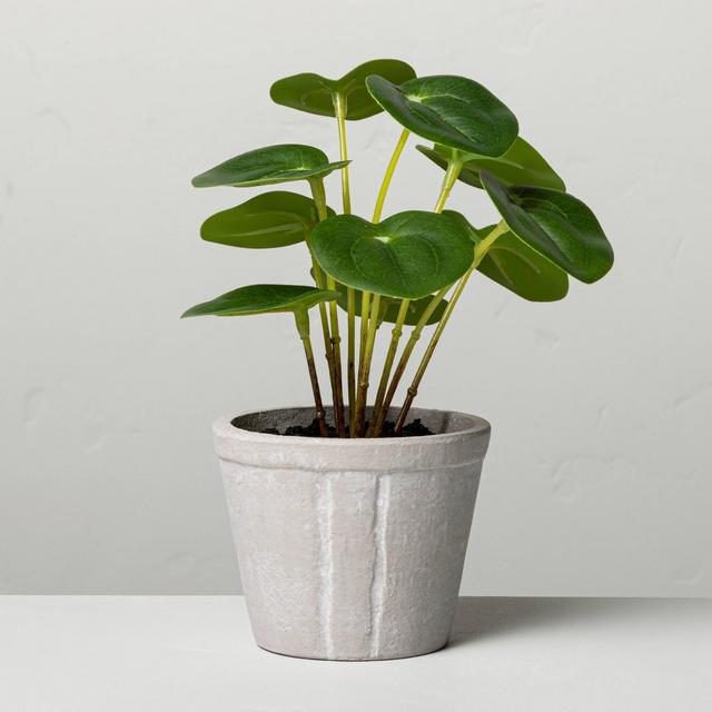 7" Faux Pilea Potted Plant - Hearth & Hand™ with Magnolia