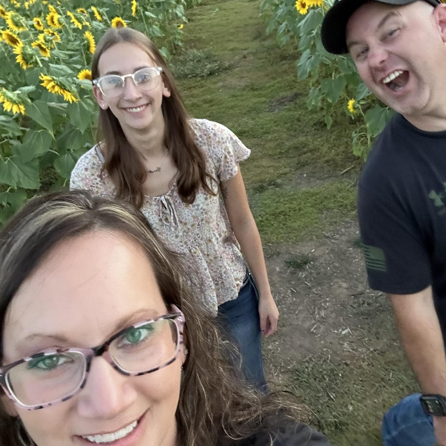 Sunflower patch
