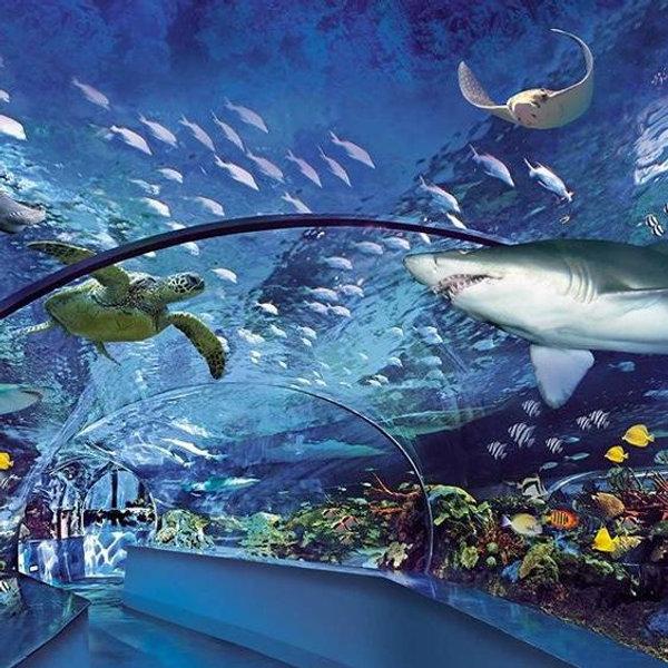 Aquarium
