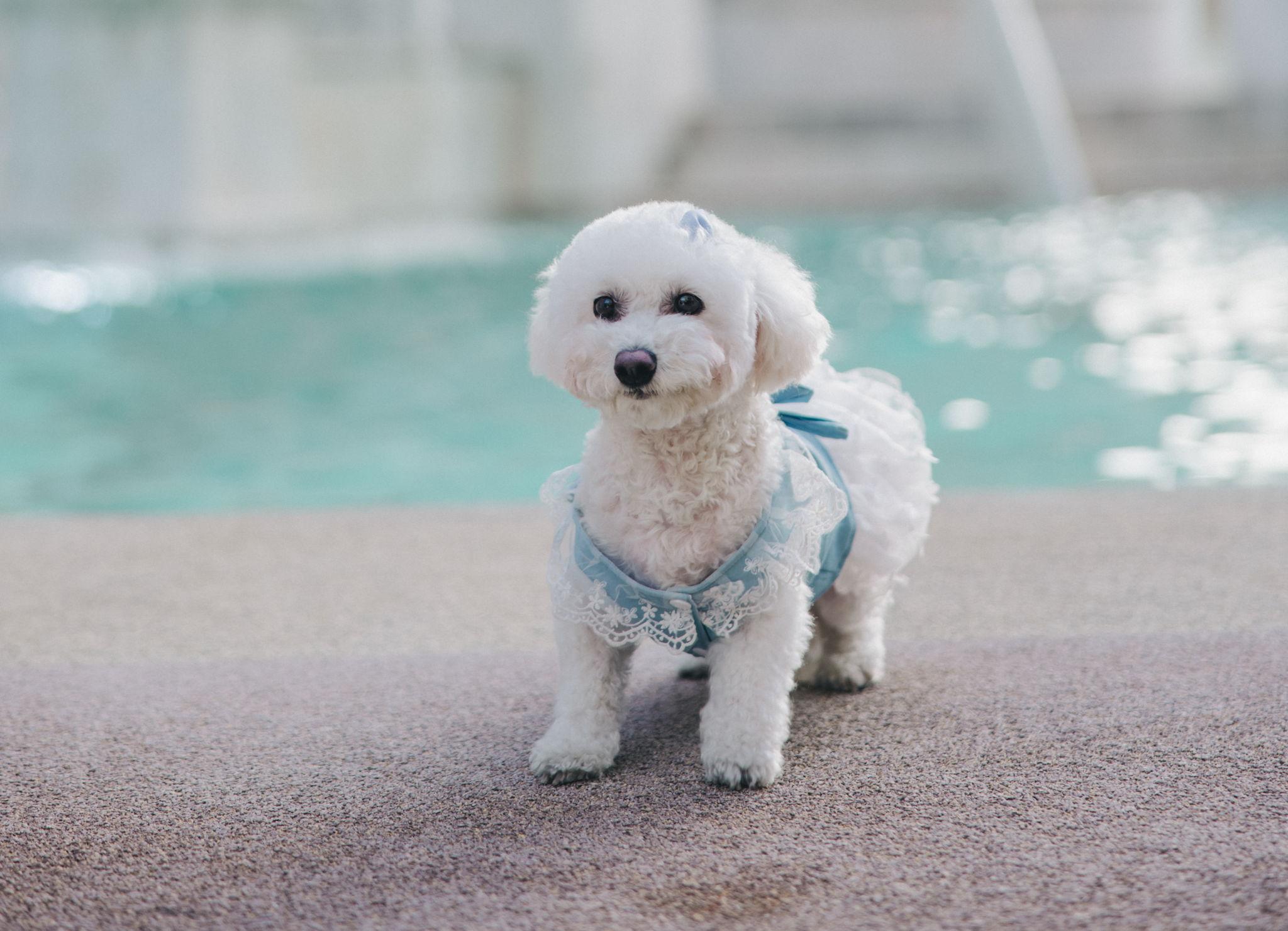 The Wedding Website of Tiffany Nguyen and Kevin Lee