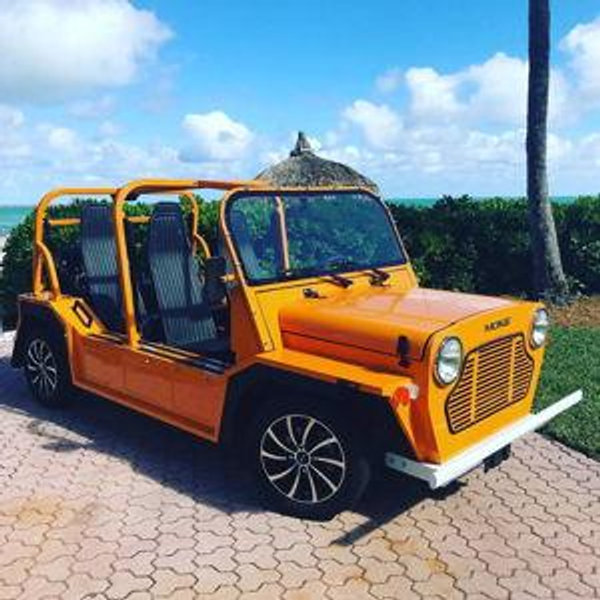 Honeymoon Rental Car